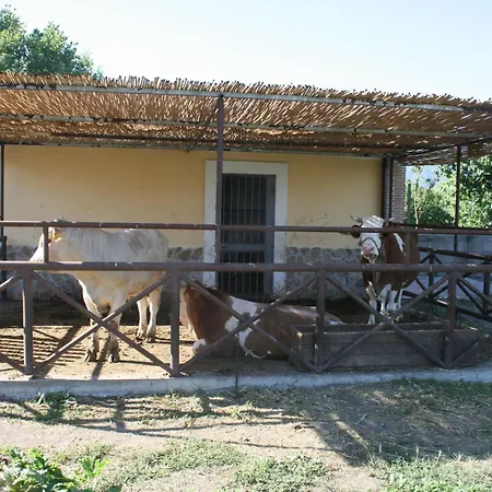 Azienda Agrituristica Vivi Natura