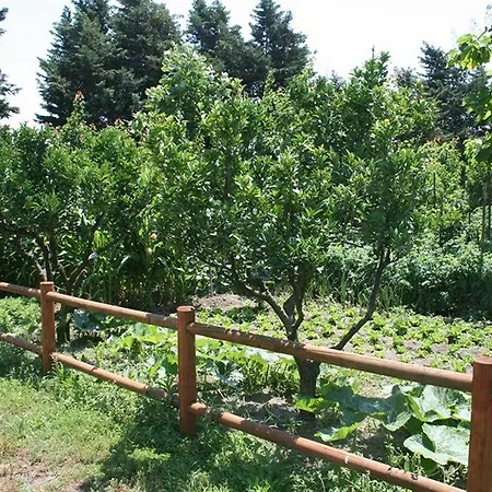 Lantgård Azienda Agrituristica Vivi Natura Pompeji