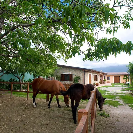 Azienda Agrituristica Vivi Natura Lantgård *