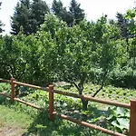 Farm stay Azienda Agrituristica Vivi Natura Pompei