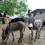 Agroturismo Azienda Agrituristica Vivi Natura Pompeya