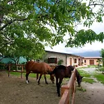 Azienda Agrituristica Vivi Natura Farm stay *