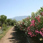 Agroturismo Azienda Agrituristica Vivi Natura *