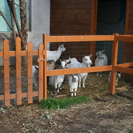 Farm stay Azienda Agrituristica Vivi Natura
