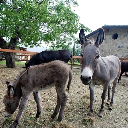 Çiftlik konaklama Azienda Agrituristica Vivi Natura Pompei