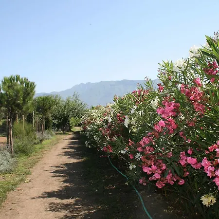 Çiftlik konaklama Azienda Agrituristica Vivi Natura *