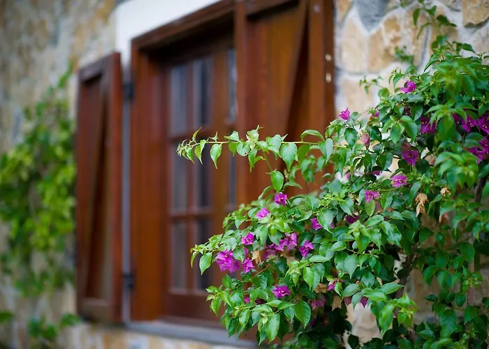 Azienda Agrituristica Vivi Natura Pompéi