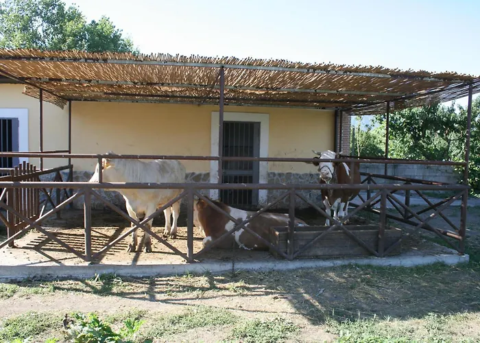 Azienda Agrituristica Vivi Natura