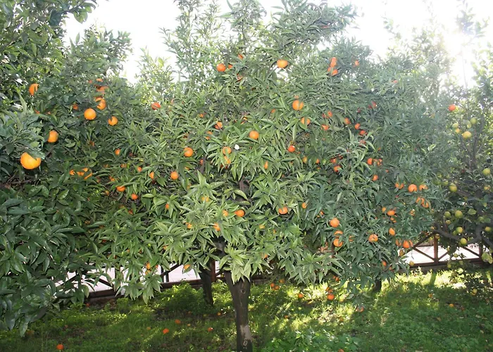 Azienda Agrituristica Vivi Natura Pompéi