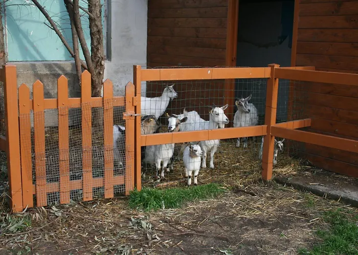 Séjour à la ferme Azienda Agrituristica Vivi Natura