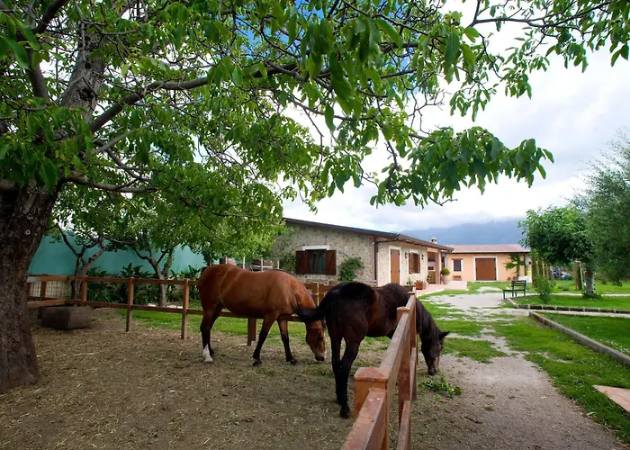 Azienda Agrituristica Vivi Natura Séjour à la ferme *