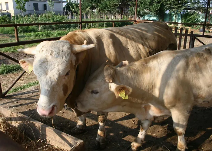 Azienda Agrituristica Vivi Natura * Pompéi