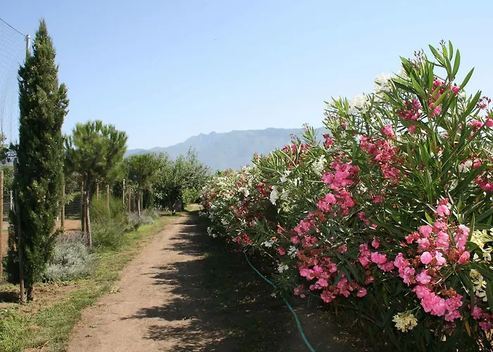 Séjour à la ferme Azienda Agrituristica Vivi Natura *